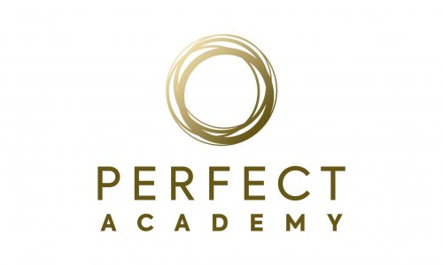 Perfect academy