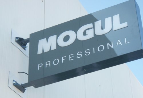 Mogul